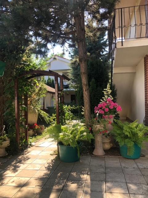 Suzana Garden Otel Venus Dış mekan fotoğraf